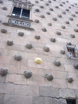 concha dorada_maspequeña.jpg